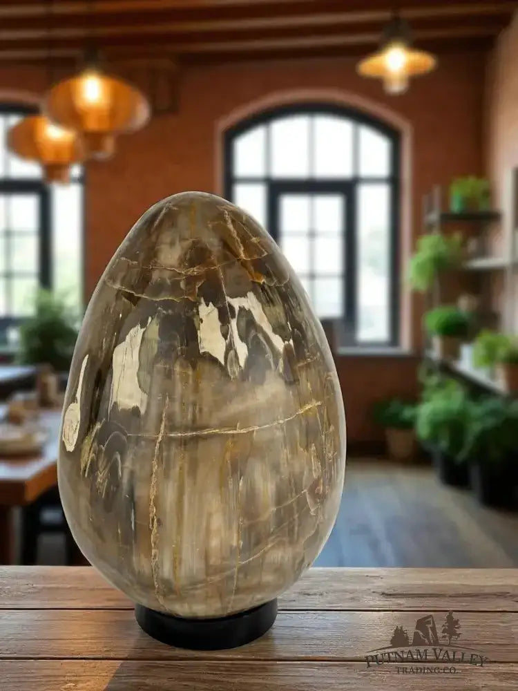 Real Petrified Wood Egg - Putnam Valley Trading Co.
