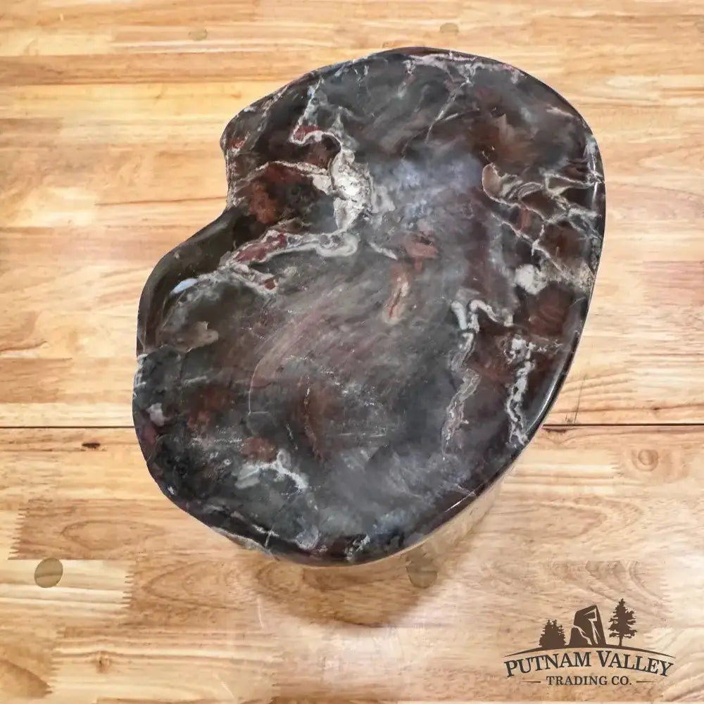 Real Petrified Wood Round Pillar - Putnam Valley Trading Co.