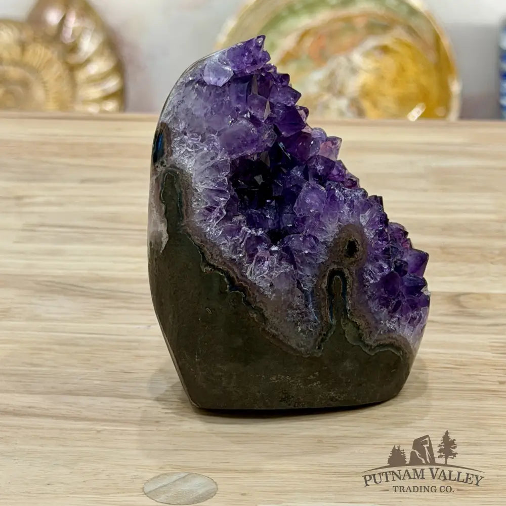 Reserve Brazilian Amethyst Table Accent 4’’ - Free Standing Accent