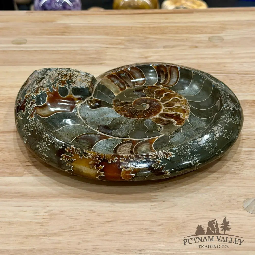 Reserve Carved Ammonite Fossil Accent Dish 9’’ - Fossil Specimen