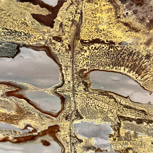 Reserve Chinese Picture Jasper Round Plate 7.71’’ - Plate