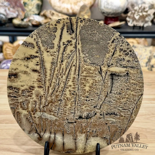 Reserve Chinese Picture Jasper Round Plate 8.24’’ - Plate