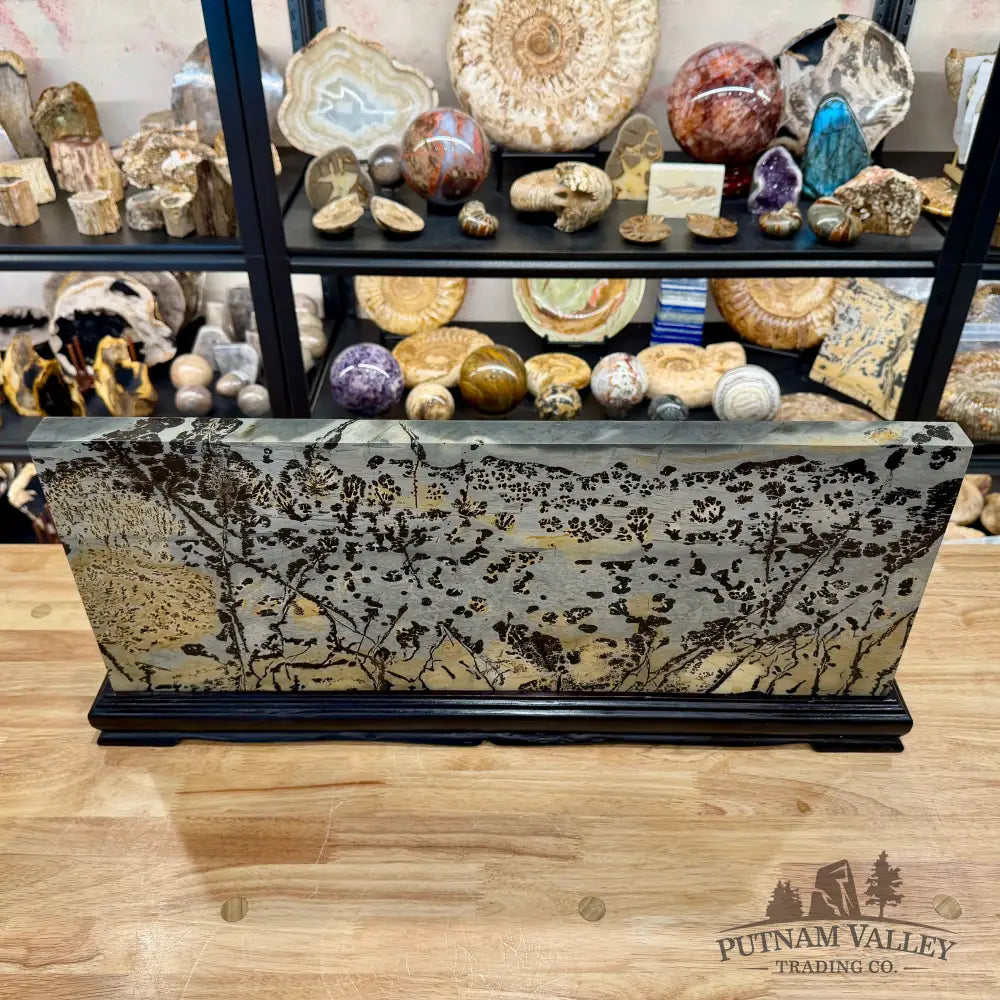 Reserve Chinese Picture Jasper Table Accent 26’’ - Accent