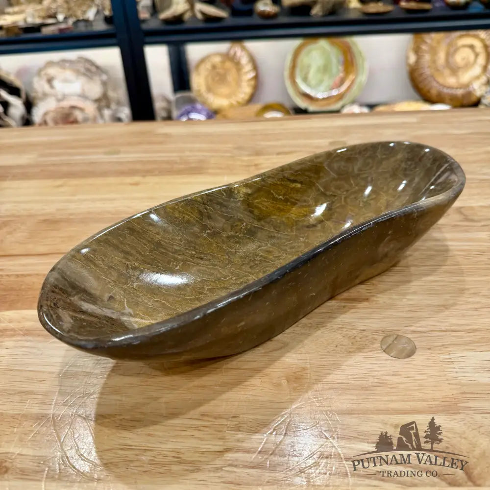 Reserve Coral Fossil Bowl - Fossil Bowl