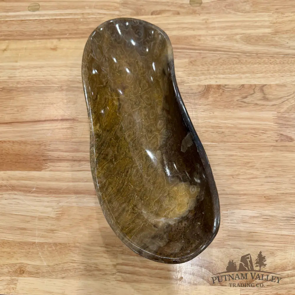 Reserve Coral Fossil Bowl - Fossil Bowl
