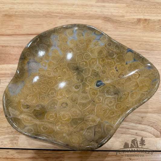 Reserve Coral Fossil Bowl - Fossil Bowl