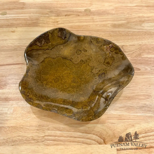 Reserve Coral Fossil Bowl - Fossil Bowl