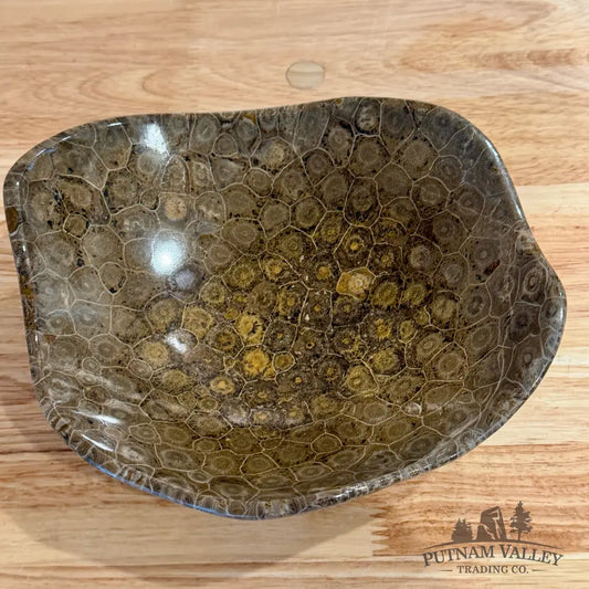 Reserve Coral Fossil Bowl 8.2’’ - Fossil Bowl