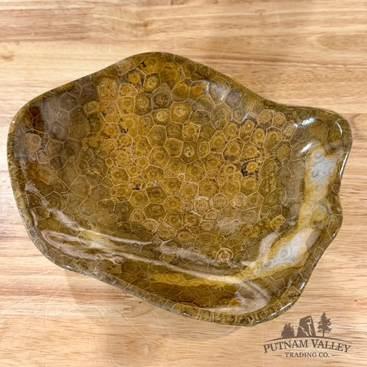 Reserve Coral Fossil Bowl - Fossil Bowl