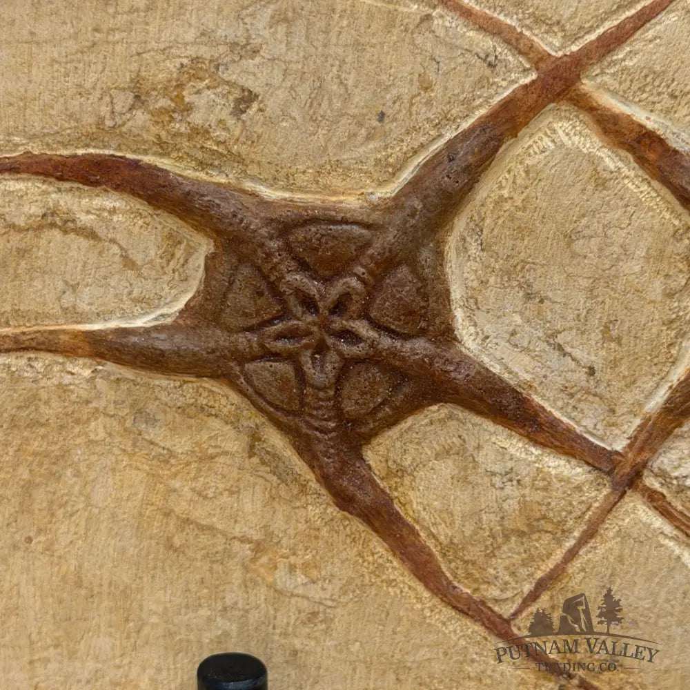Reserve Double Brittle Star Fossil + Stand - Fossil
