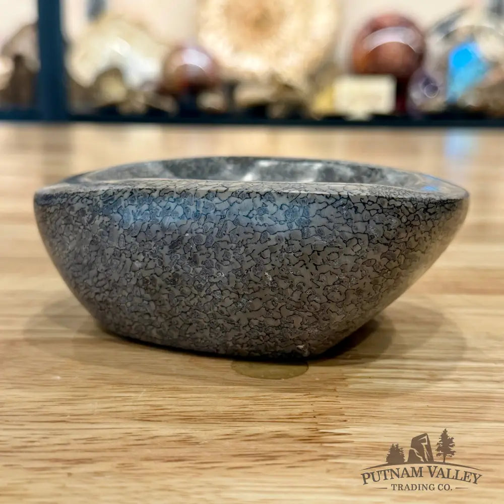 Reserve Fossilized Dinosaur Bone Bowl 4.8’’ - Fossil Bowl