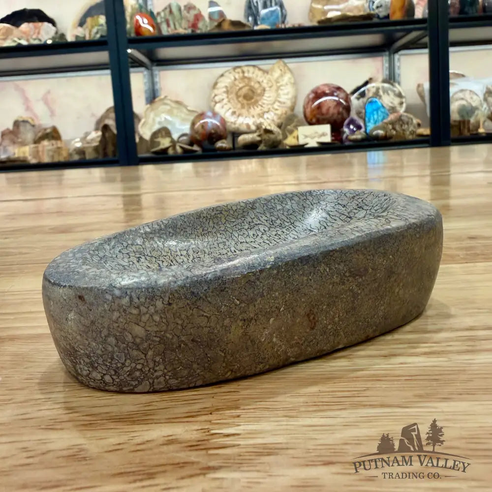 Reserve Fossilized Dinosaur Bone Bowl 5’’ - Fossil Bowl