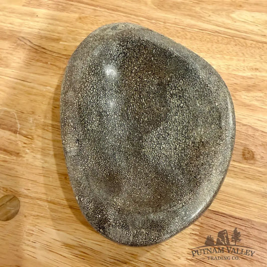 Reserve Fossilized Dinosaur Bone Bowl 6.9’’ - Fossil Bowl
