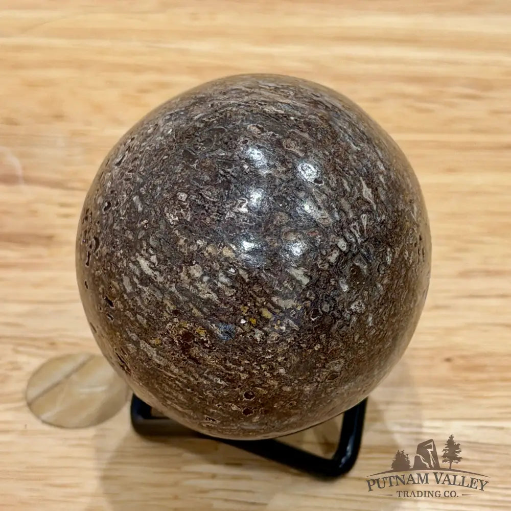 Reserve Fossilized Dinosaur Bone Egg 3’’ Egg