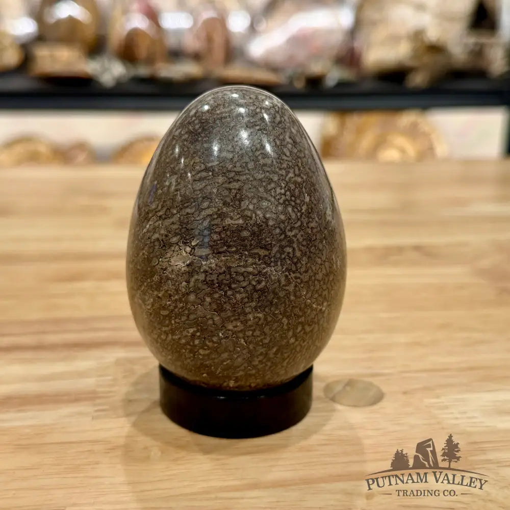 Reserve Fossilized Dinosaur Bone Egg 3.6’’ Egg
