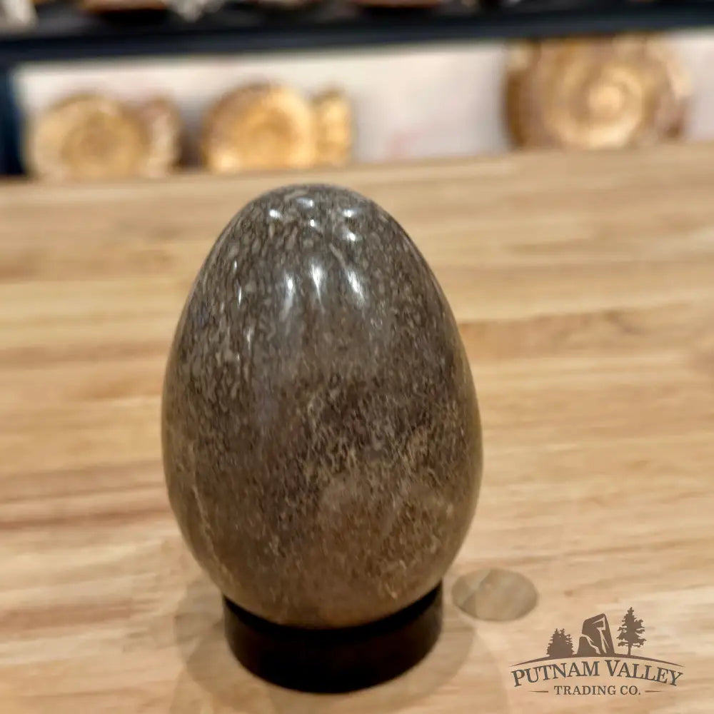 Reserve Fossilized Dinosaur Bone Egg 3.6’’ Egg