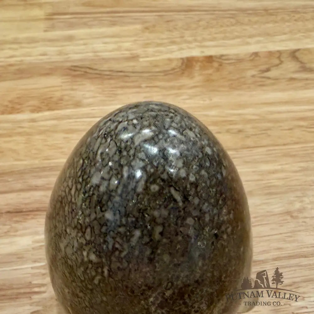 Reserve Fossilized Dinosaur Bone Egg 3.6’’ Egg