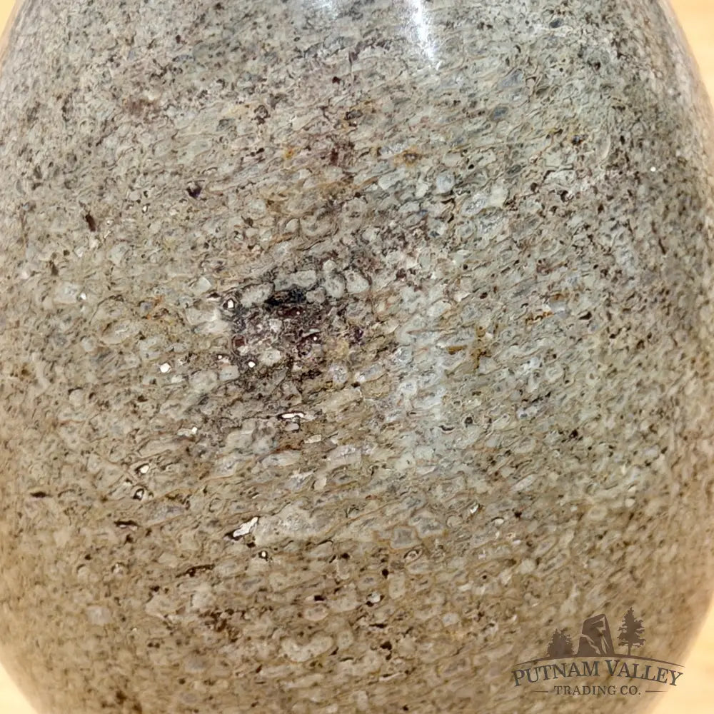 Reserve Fossilized Dinosaur Bone Egg 4.4’’ Egg