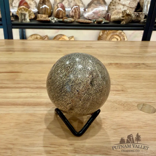 Reserve Fossilized Dinosaur Bone Sphere 2.19’’ Fossil Sphere