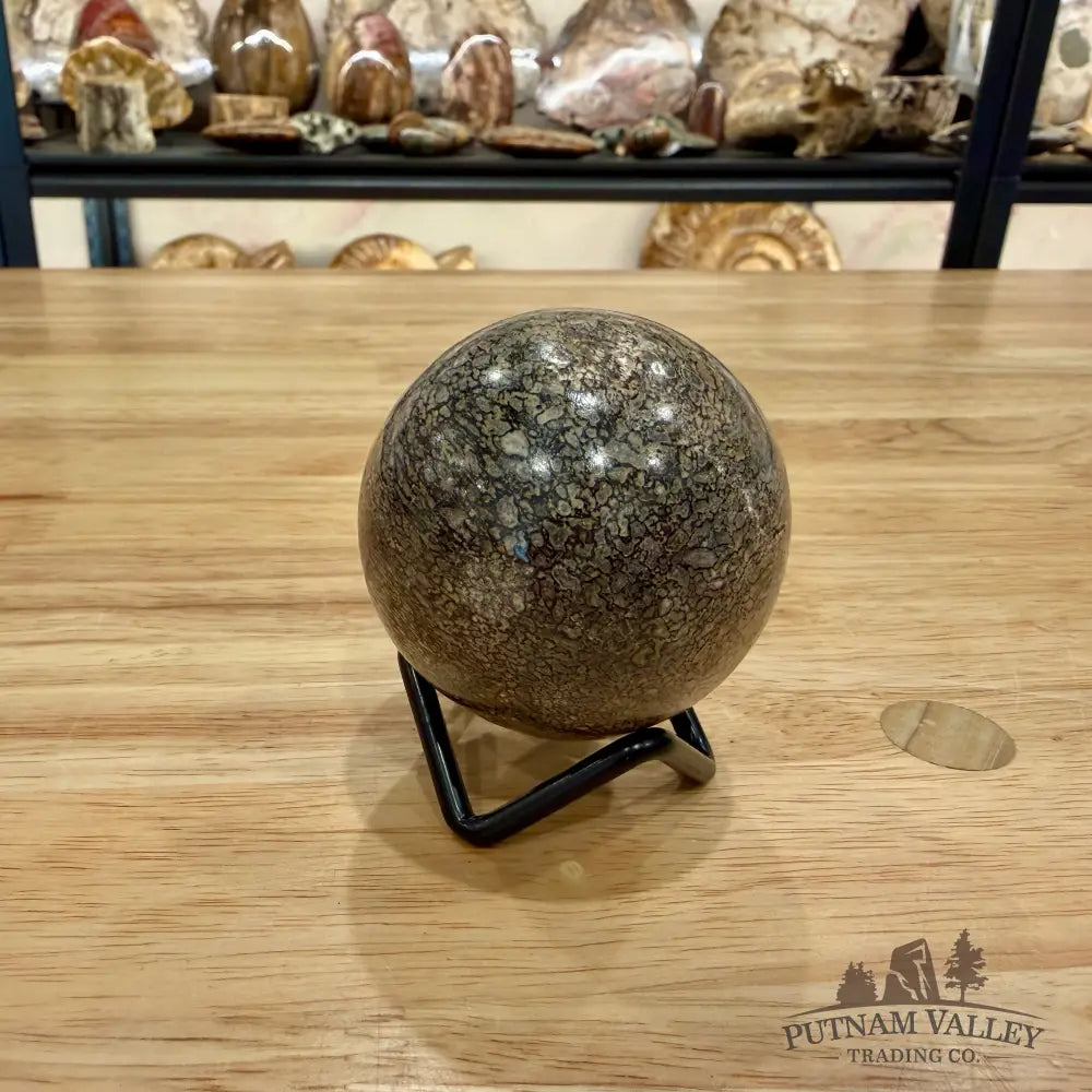 Reserve Fossilized Dinosaur Bone Sphere 2.19’’ Fossil Sphere