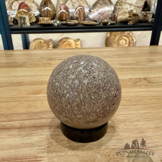 Reserve Fossilized Dinosaur Bone Sphere 2.65’’ Fossil Sphere