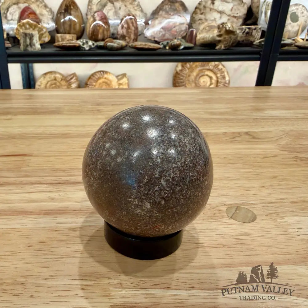 Reserve Fossilized Dinosaur Bone Sphere 2.86’’ Fossil Sphere