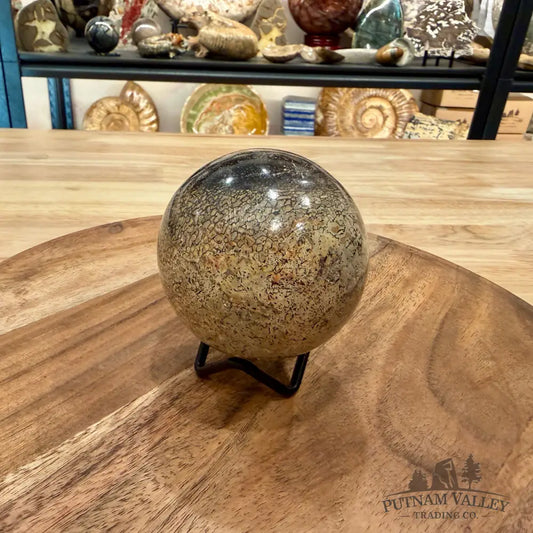 Reserve Fossilized Dinosaur Bone Sphere 2.87’’ - Fossil Sphere