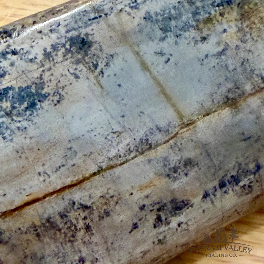 Reserve Fossilized Dinosaur Bone Table Accent 3.5’’ Accent
