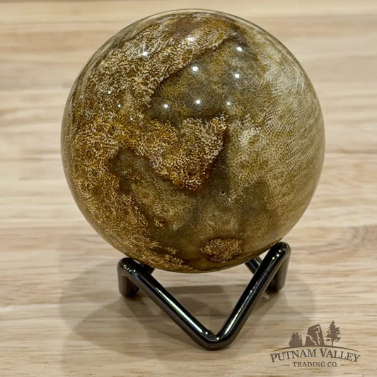 Reserve Indonesian Fossil Coral Sphere 2.37’’ - Sphere