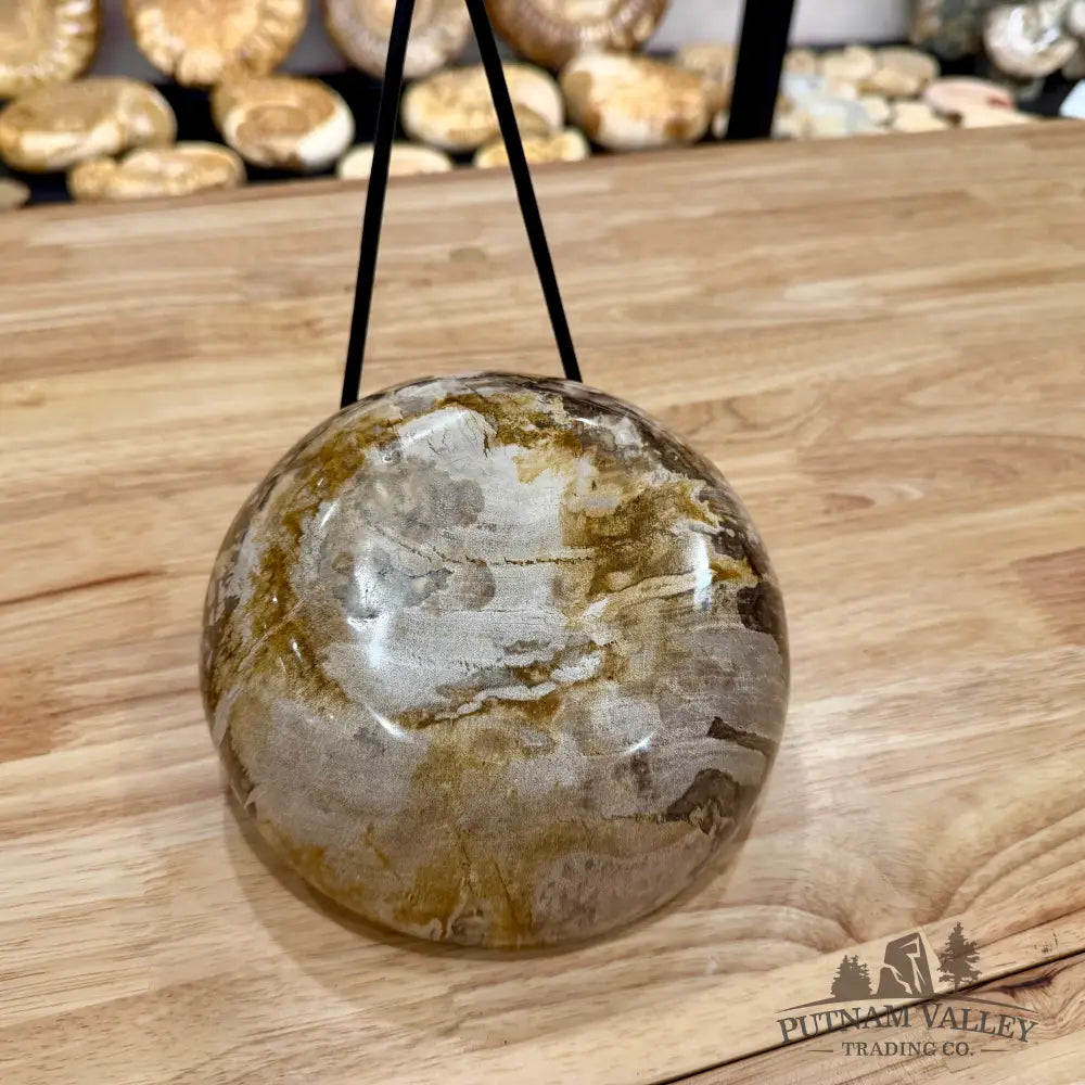 Reserve Indonesian Petrified Wood Bowl Plate