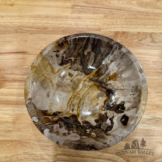 Reserve Indonesian Petrified Wood Bowl Plate