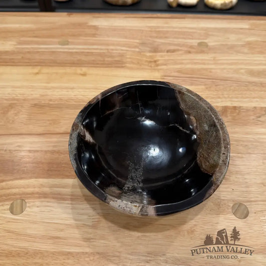 Reserve Indonesian Petrified Wood Bowl Plate