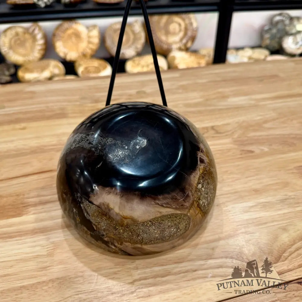 Reserve Indonesian Petrified Wood Bowl Plate