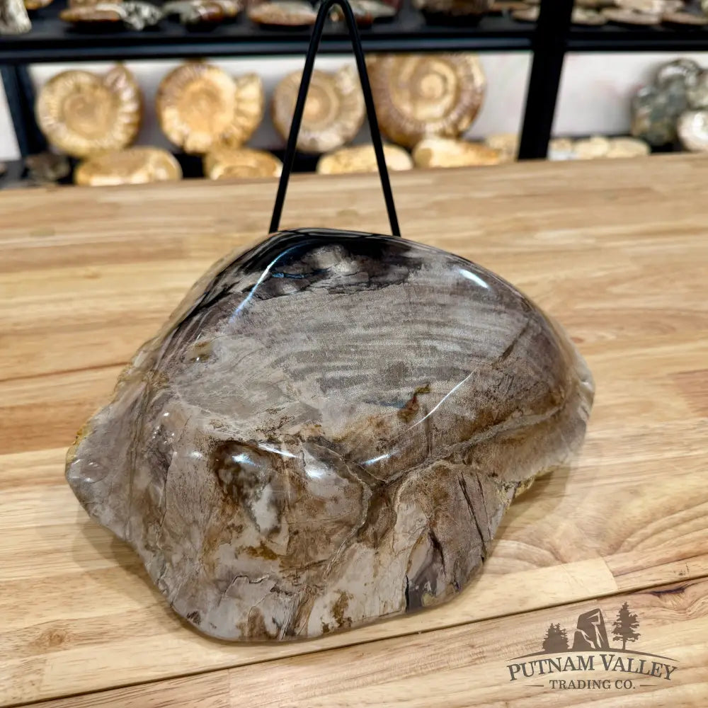 Reserve Indonesian Petrified Wood Bowl Plate