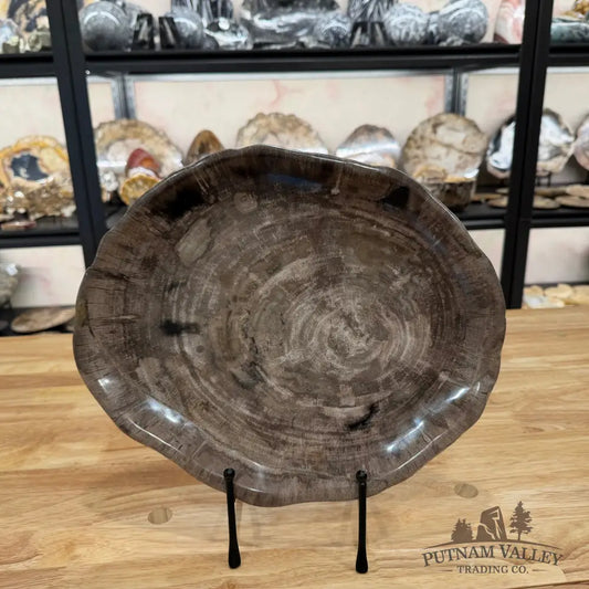 Reserve Indonesian Petrified Wood Plate Plate