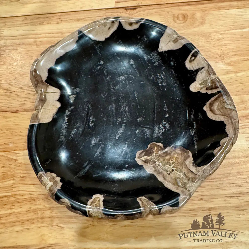 Reserve Indonesian Petrified Wood Plate Bowl