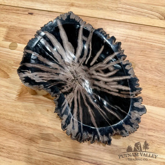Reserve Indonesian Petrified Wood Rustic Bowl Bowl