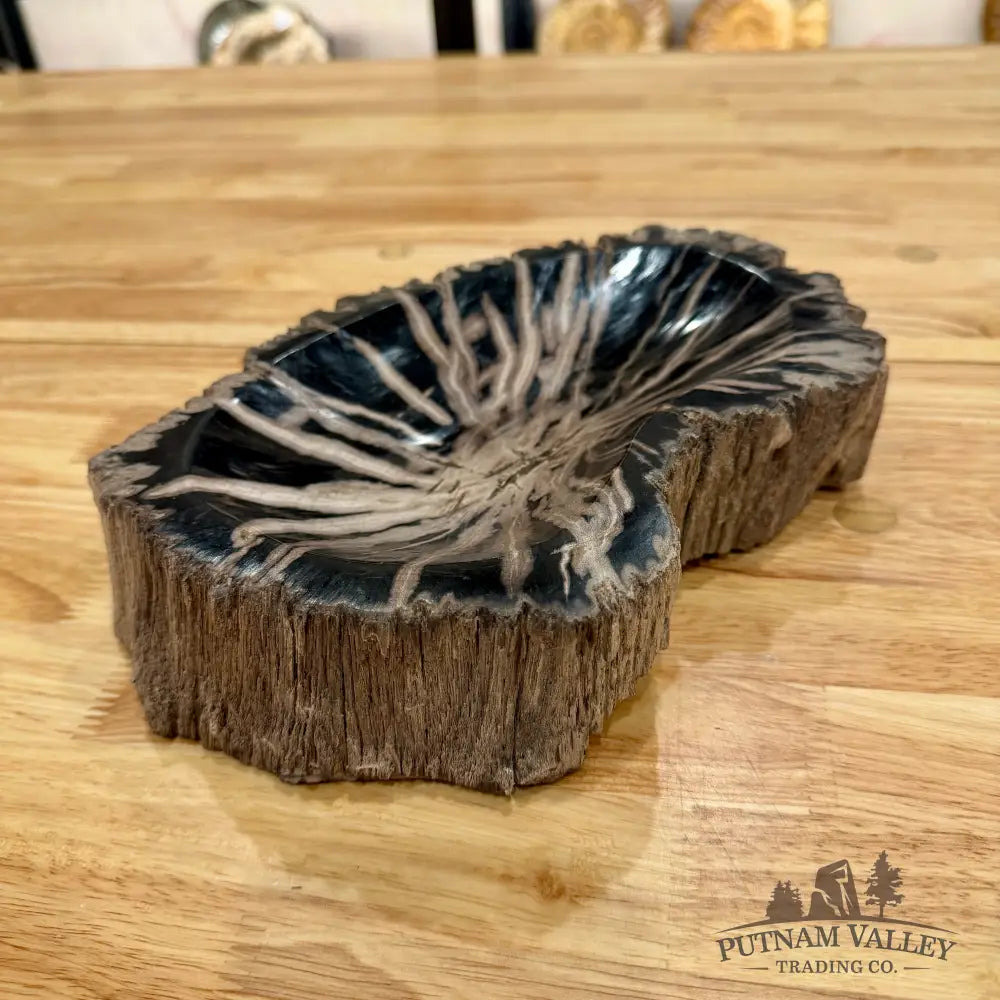 Reserve Indonesian Petrified Wood Rustic Bowl Bowl