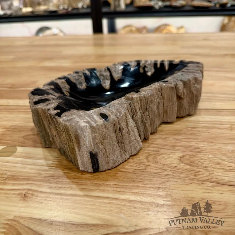 Reserve Indonesian Petrified Wood Rustic Bowl Bowl
