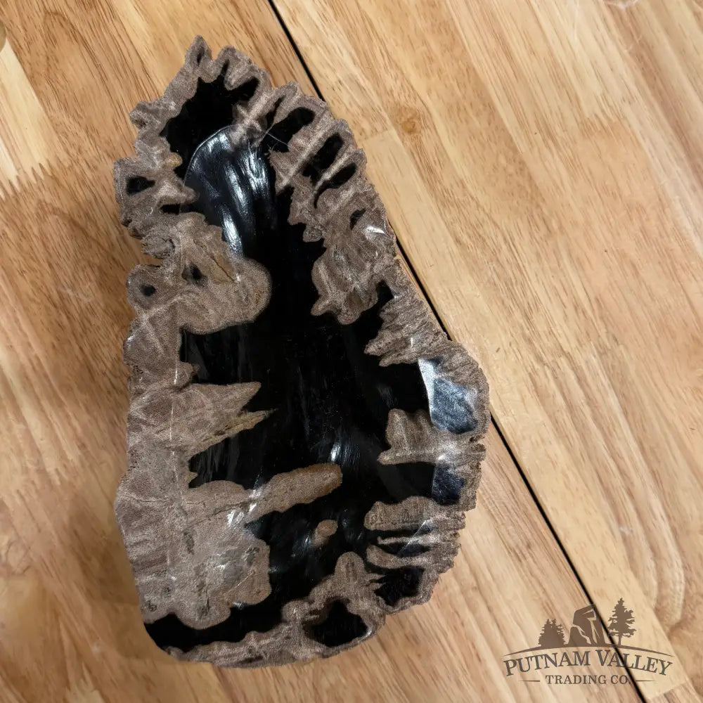 Reserve Indonesian Petrified Wood Rustic Bowl Bowl