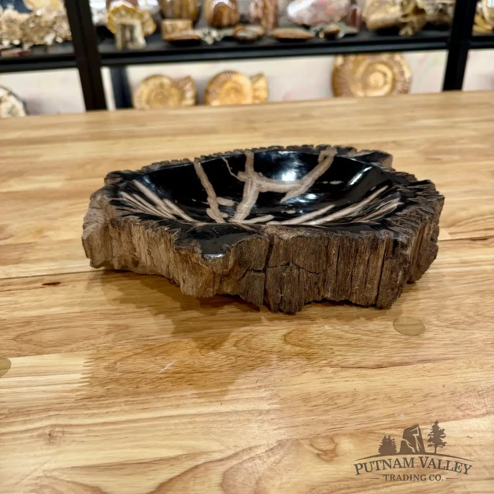 Reserve Indonesian Petrified Wood Rustic Bowl Bowl