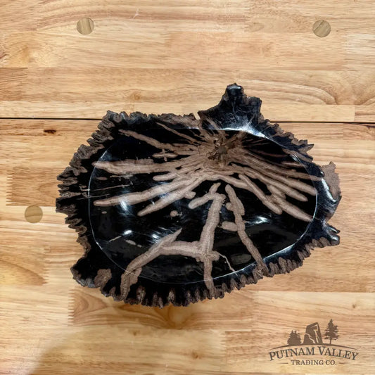 Reserve Indonesian Petrified Wood Rustic Bowl Bowl