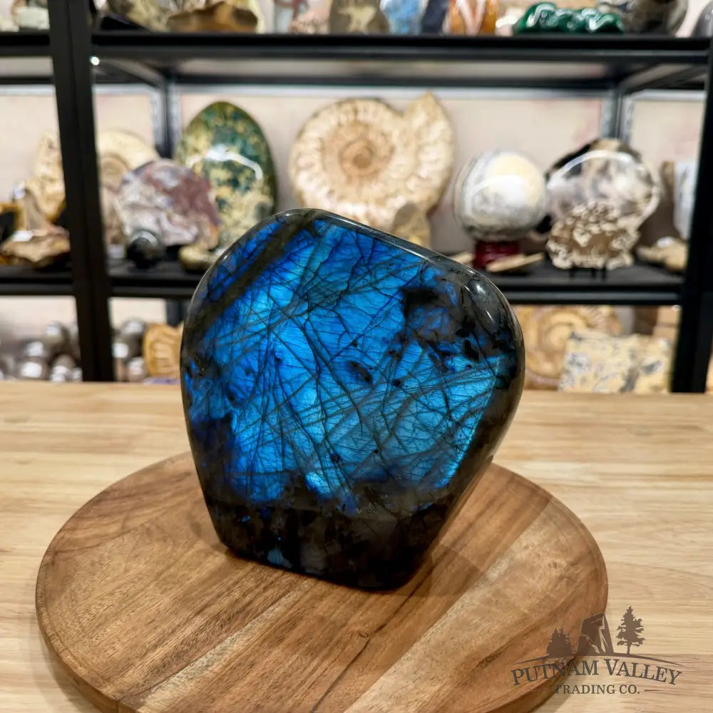 Reserve Labradorite Table Accent 6.85’’ - Free Standing Accent
