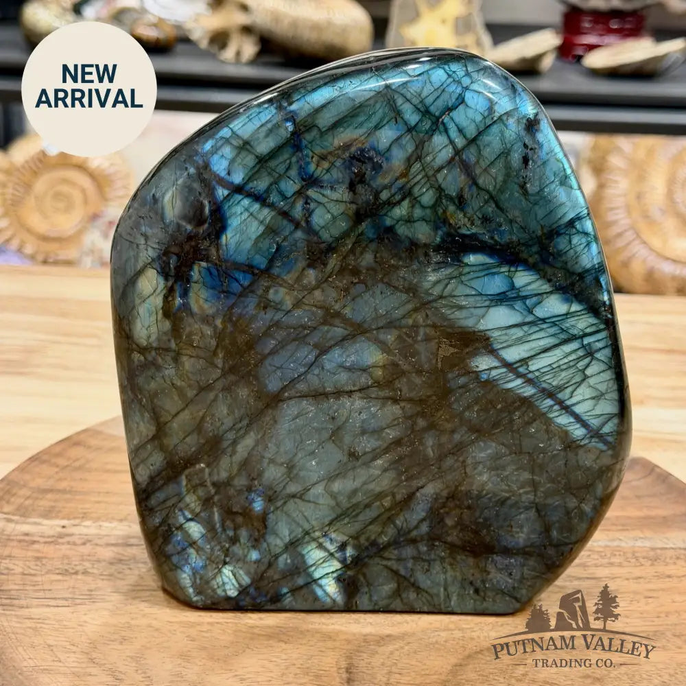 Reserve Labradorite Table Accent 7.03’’ - Free Standing Accent