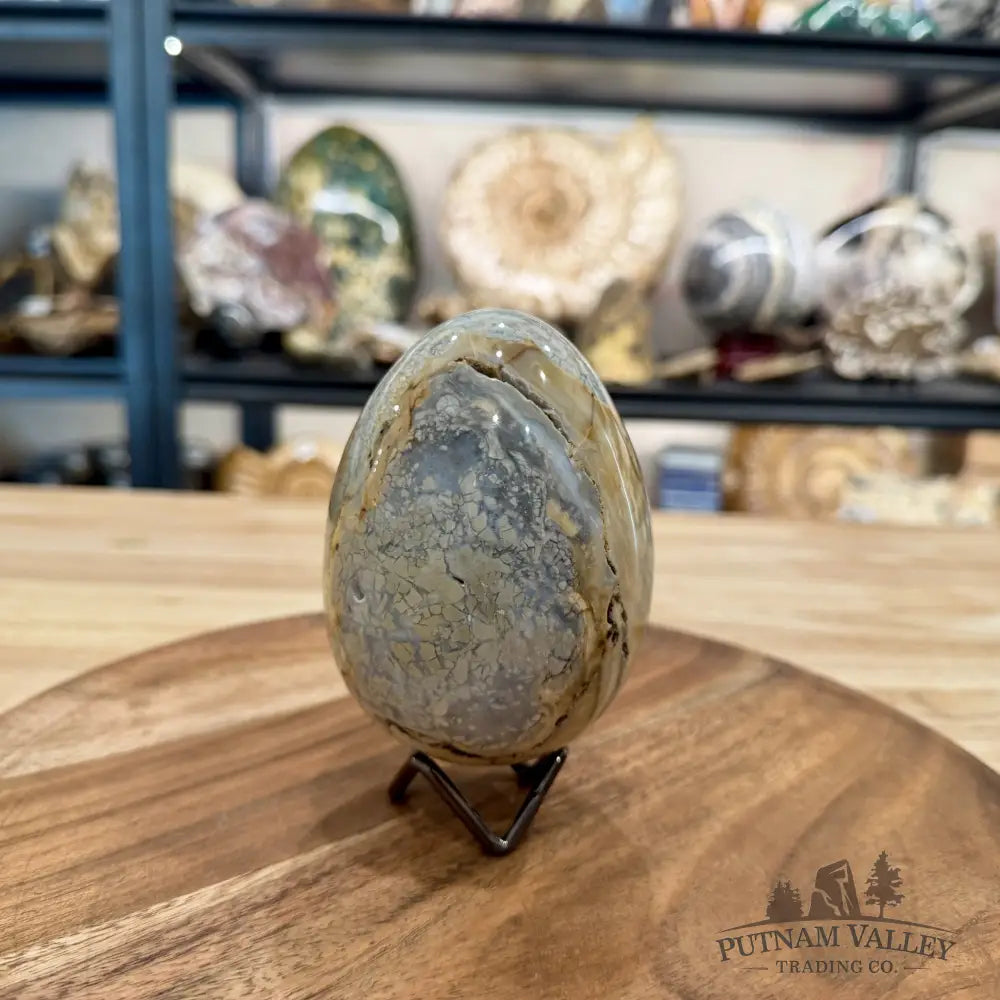 Reserve Madagascar Ibis Jasper Egg 4.22’’ - Sphere