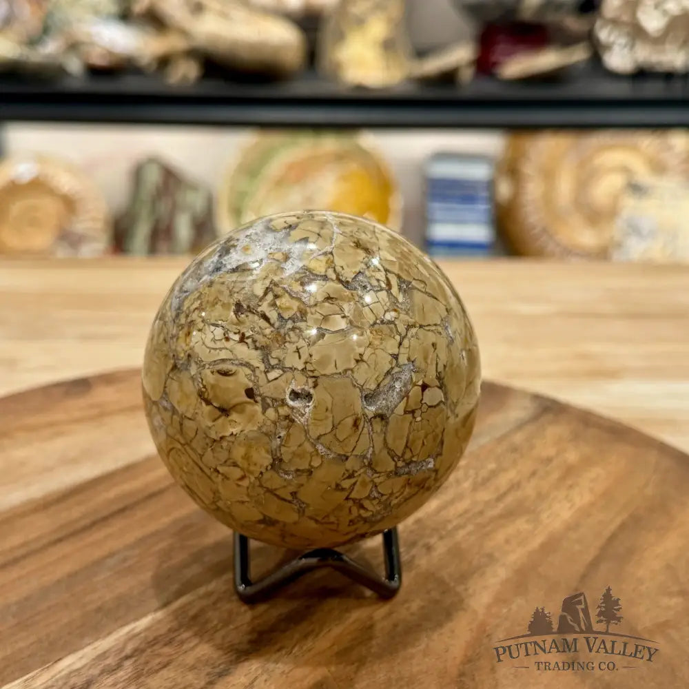 Reserve Madagascar Ibis Jasper Sphere 3.08’’ - Sphere