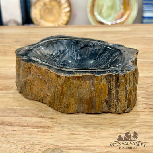 Reserve Madagascar Petrified Wood Rustic Bowl 6.1’’ - Bowl