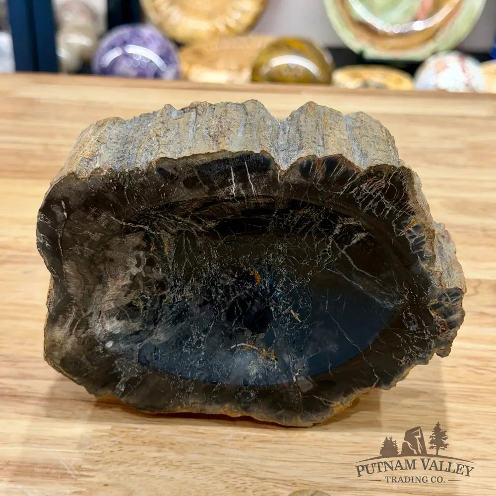 Reserve Madagascar Petrified Wood Rustic Bowl 6.1’’ - Bowl