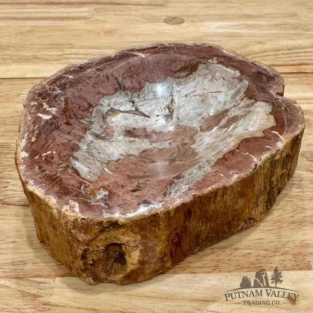 Reserve Madagascar Petrified Wood Rustic Bowl 6.5’’ Bowl