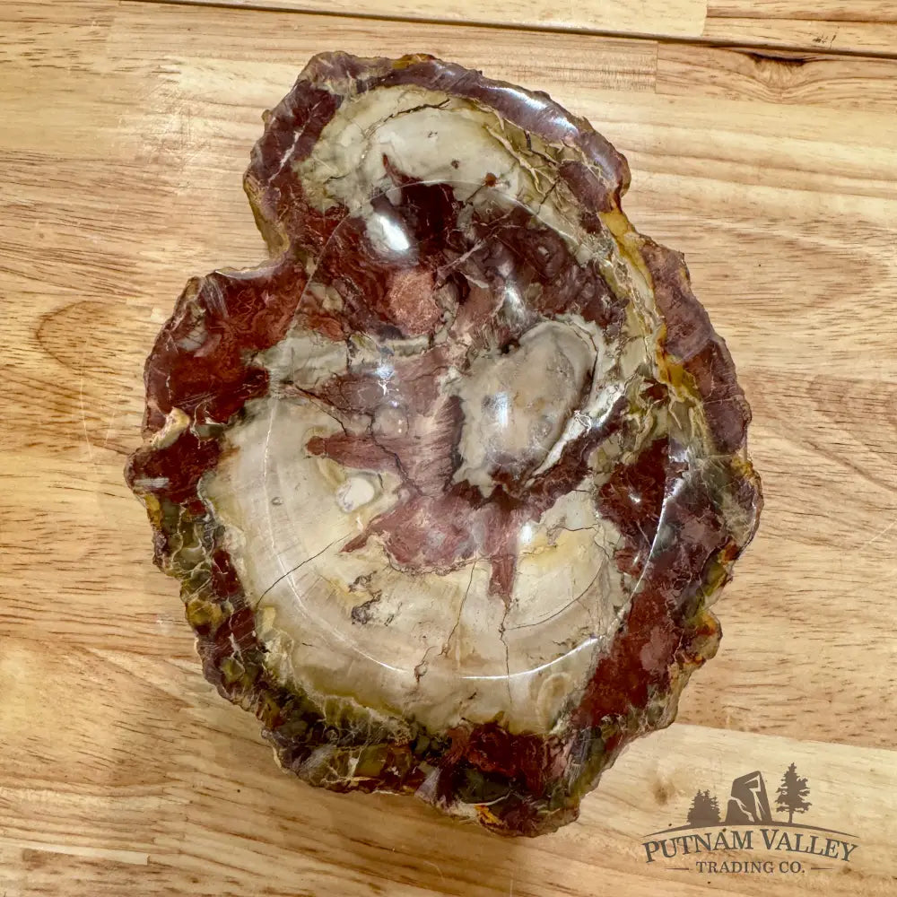 Reserve Madagascar Petrified Wood Rustic Bowl 6.75’’ Bowl